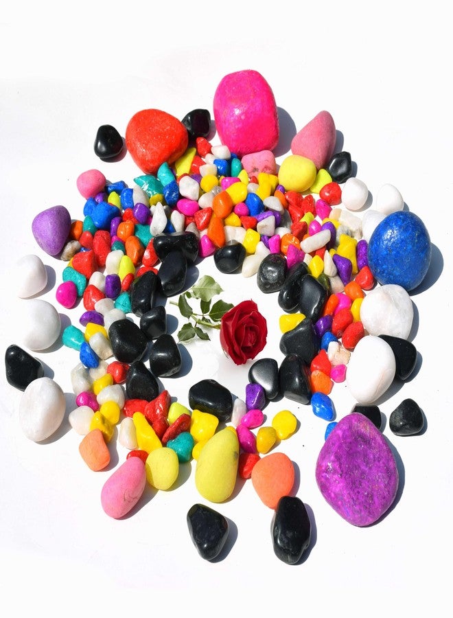 Pure Source India Decorative Medium Size Polished Marble Stone Pebbles for Plant Pots Vase Fillers Aquarium Home Decor Garden Decoration-Multicolor Mini Size (500gm) - Image 2